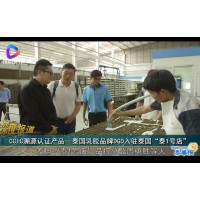 CCIC溯源认证产品-泰国乳胶品牌DGD入驻泰国“泰1号店”